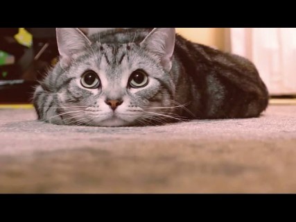 Социальная реклама от Nissan в Магадане « автомагадан