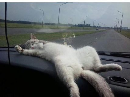 Подборка картинок в Магадане « автомагадан
