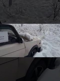 Особенности магаданского автопарка в Магадане « автомагадан
